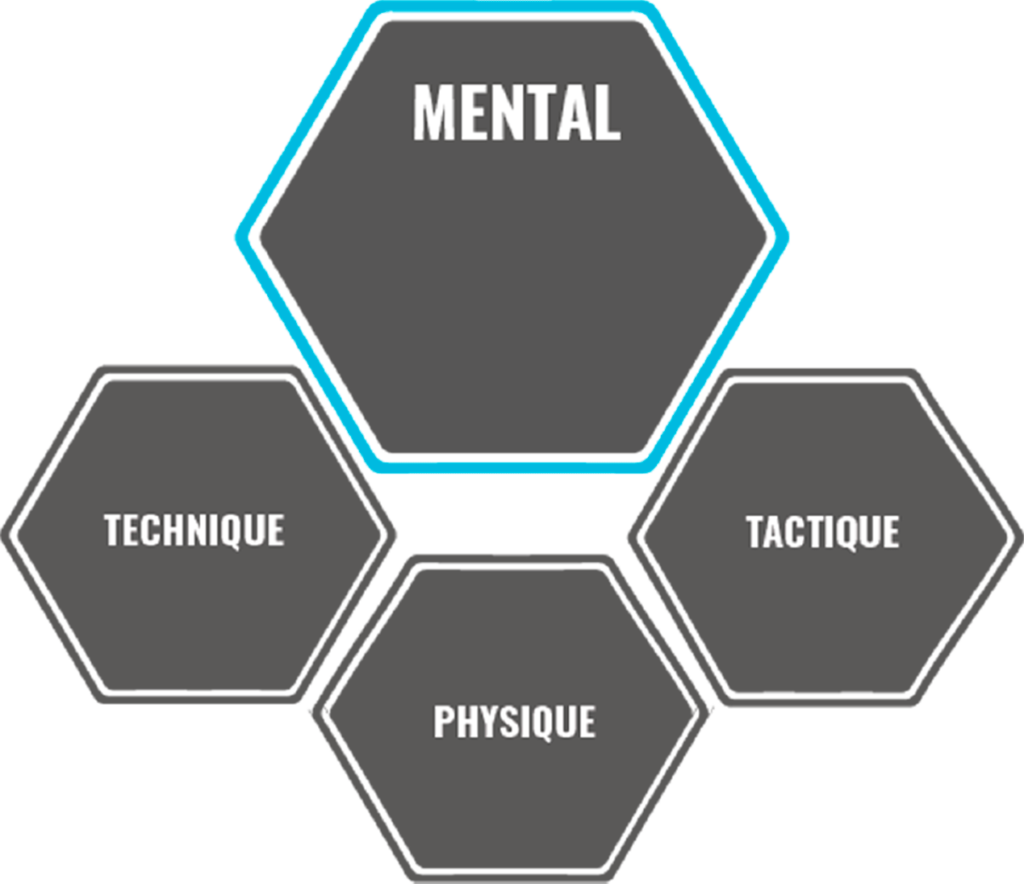 coach-plus-skills-coach-plus
